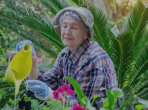 Home Care Services in Libertyville , Illinious - Khác