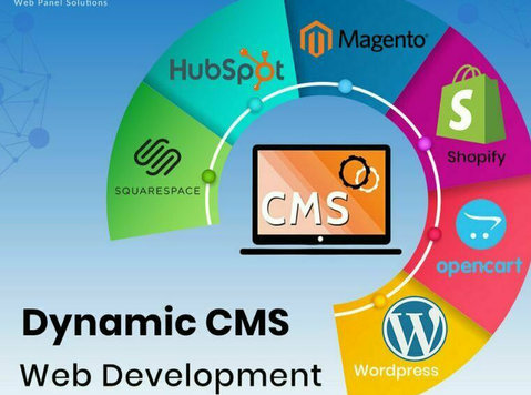Online Dynamic Cms Web Development Services – Web Panel Solu - Останато