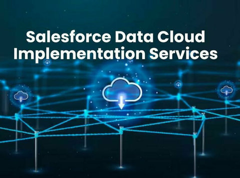 Transforming Your Business with Salesforce Data Cloud Implem - 기타