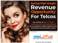 Supercharge Your Telco Revenue & Profits with moLotus tech - Autres