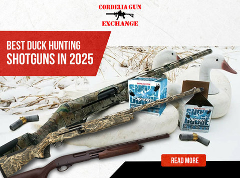 Best Semi-auto Shotgun for Duck Hunting – Expert Reviews - غيرها