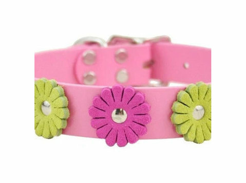 Collar Couture: Boutique Styles for Stylish Dogs - غیره