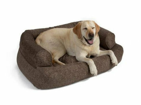 Curated Collections for Stylish Pets - Övrigt