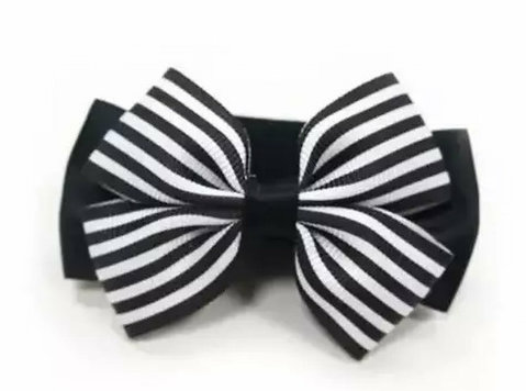 Designer Pet Accessories: Style Meets Function for Modern Pe - Overig
