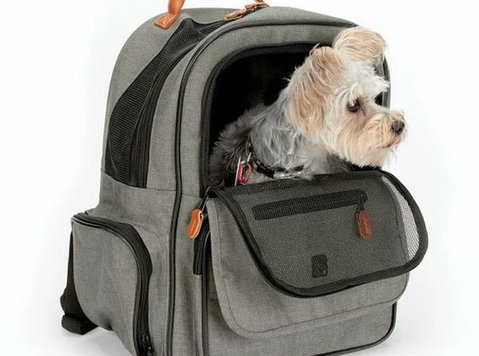 The Ultimate Guide to Choosing the Perfect Dog Carrier - Khác