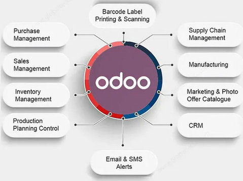 Odoo Erp: Implementation for Your Unique Business - Komputer/Internet
