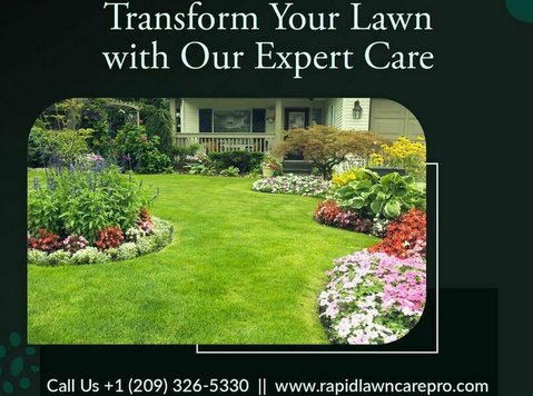 Affordable Lawn and Tree Care Services - Same Day Service - Gardening