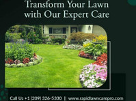 Lawn Maintenance Services & Lawn Mowing Services Stockton - Dārzkopība