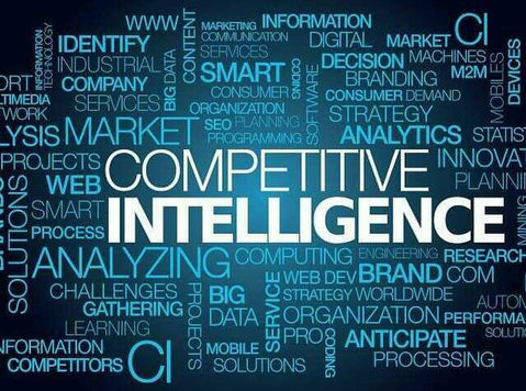Competitive Intelligence - 法律/金融