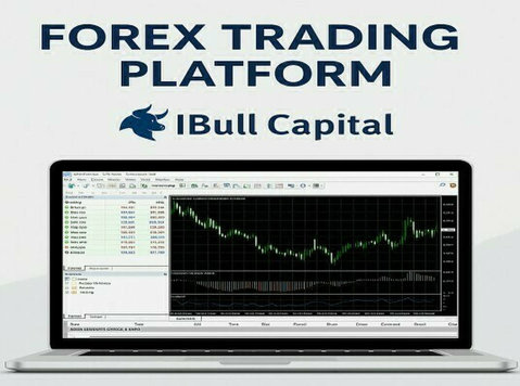 Forex Trading Platform: Your Gateway To The Global Currency - Avocaţi/Servicii Financiare