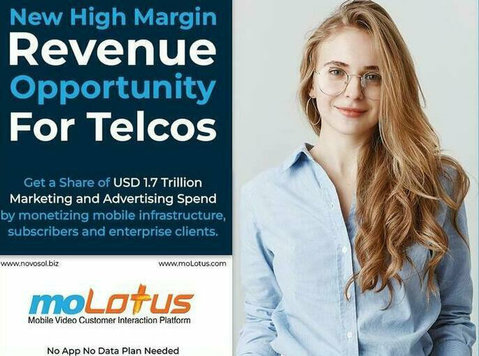 Add to your high-margin revenues via next-gen moLotus mobile - Services: Other