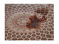 Orange Rug Pet Stains Removal For Chula Vista Ca - Services: Other