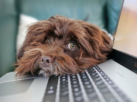 Could Digital Marketing training help you escape your 9-5 jo - Classes: Other