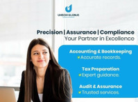 Expert Accounting & Tax Services in USA - Právní služby a finance