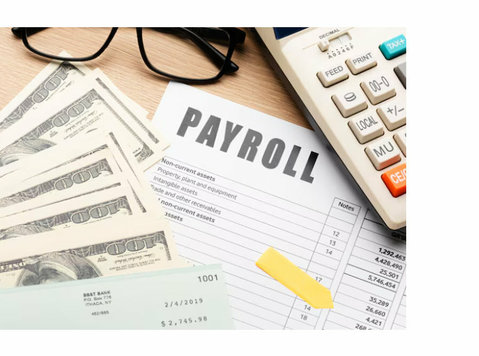Professional Quarterly Payroll Services for Cpas & Accountin - Legal/Finance