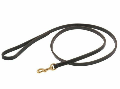 Enhance Your Dog's Style with Braided Show Snap Leads - Iné