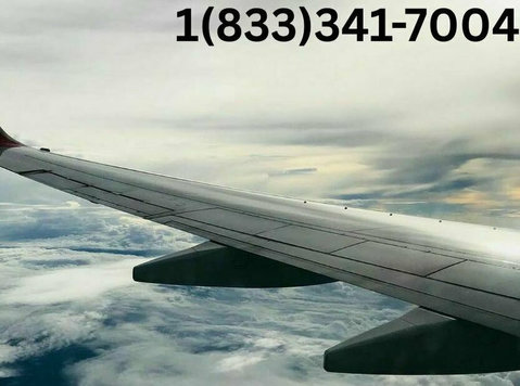 Qatar Airways Phone Number Seatac - Cestovanie/Deľba cestovného