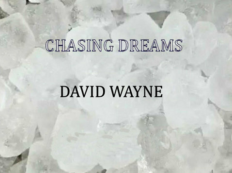 Digital Cd by David Wayne (chasing Dreams) - மற்றவை 