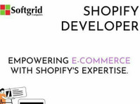 Shopify Store Developer - Informática/Internet