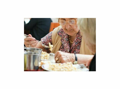 Day care for older adults: Providing respite and enriching - Övrigt