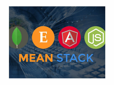 Microsoft Technology Stack Development Services | Soluzione - دیگر