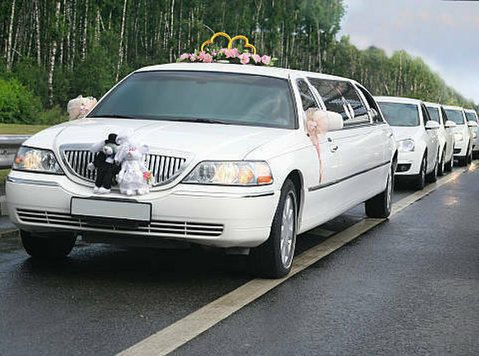Wedding Limo Bronx - Moving/Transportation