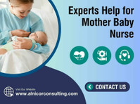 Experts Help for Mother Baby Nurse - Services: Other