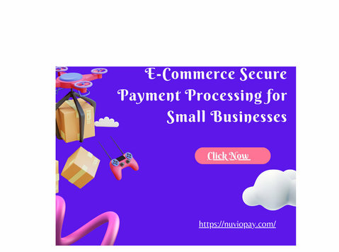 Offshore E-commerce Secure Payment Processing - Services: Other