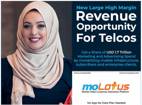 Unlock molotus’s Revenue Potential for Telecoms Today - Citi