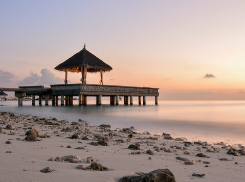 Book Affordable Flights with Flighta! - Services: Other