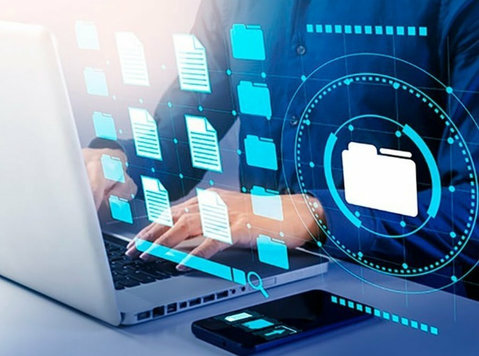 Professional Data Cleansing Services - Services: Other