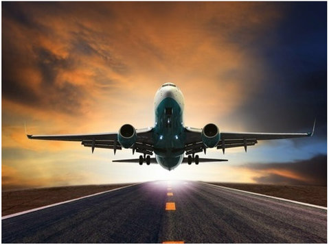 Importance Of Direct Infrastructure Investment In Aviation - Services: Other