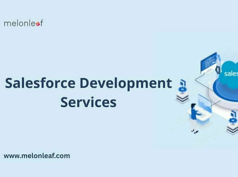 Advanced Salesforce Development Services for U.s. Enterprise - Services: Other
