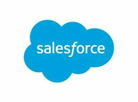Salesforce Experience Cloud implementation - Diğer