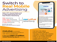 Seize a big mobile advertising revenue opportunity | molotus - 기타