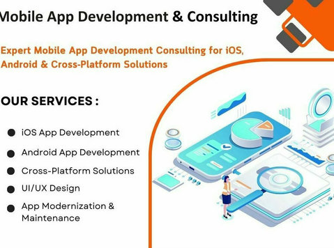 Application Development Consulting Houston - Altele