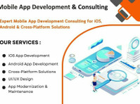 Application Development Consulting Houston - 기타