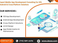 Application Development Consulting Houston - 기타