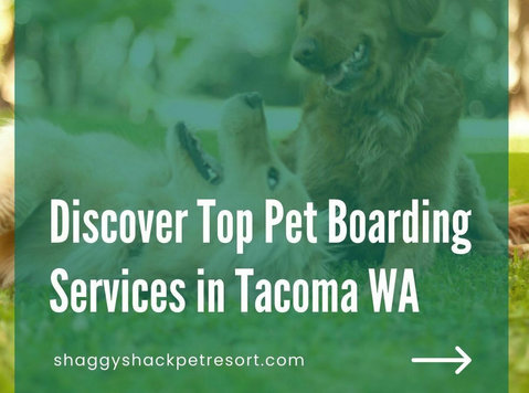 Discover Top Pet Boarding Services in Tacoma, WA - Друго