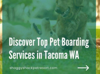 Discover Top Pet Boarding Services in Tacoma, WA - 기타