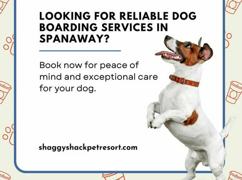 Dog Boarding Services in Spanaway - Shaggy Shack Pet Resort - Останато