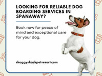 Dog Boarding Services in Spanaway - Shaggy Shack Pet Resort - Övrigt