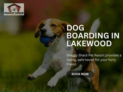 Dog Boarding in Lakewood at Shaggy Shack - Muu