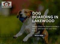 Dog Boarding in Lakewood at Shaggy Shack - Services: Other