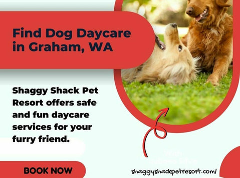 Find Dog Daycare in Graham, WA | Shaggy Shack - Annet