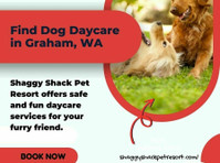 Find Dog Daycare in Graham, WA | Shaggy Shack - Άλλο