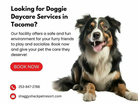 Looking for Doggie Daycare Services in Tacoma? - Andet
