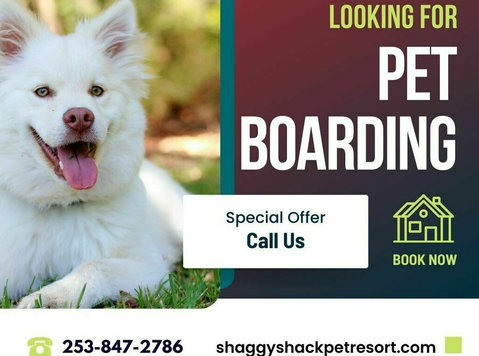 Looking for Pet Boarding Services in Tacoma? - 기타