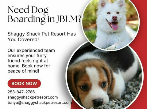 Need Dog Boarding in Jblm? Shaggy Shack Has You Covered! - Services: Other