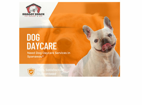 Need Dog Daycare Services in Spanaway? - دیگر